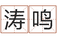 罗涛鸣公司免费起名大全-婴儿免费起名测名