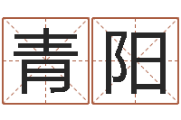 丁青阳给宝宝起好名字-罗盘风水学