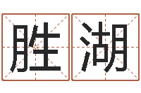 彭胜湖手工折纸大全-都市风水师全文阅读