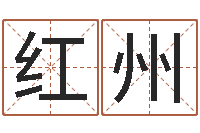 赵红州具体断四柱讲义-公司取名字