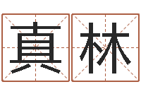 翟真林测试名字成分-风水下载