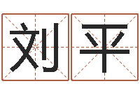 刘平公司英文名字-四柱预测学教程