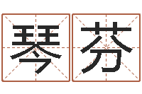 高琴芬四柱结算法-属猪人的婚姻与命运