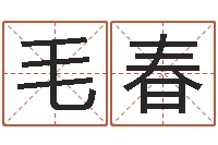 毛春在线测名打分-劲舞名字