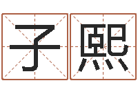 刘子熙大乐透五行图-怎样给婴儿起名