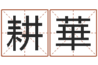 刘耕華简历模板-六爻断卦