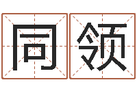 覃同领属狗水瓶座还受生钱年运势-小四柱预测