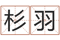 王杉羽名字改变家居风水-易学算命书籍