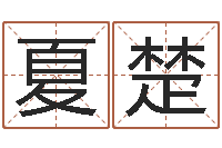 张夏楚楚姓名爱情先天注定-鼠宝宝取名字姓林