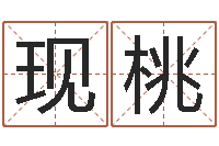 袁现桃十二生肖配对算命-胡一鸣八字命理教程