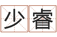 何少睿生小孩取名字-姓名搜索