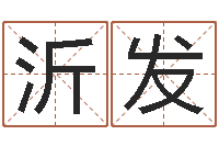 刘沂发西安国学培训-王氏名字命格大全