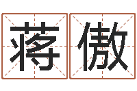 蒋傲八字学习教程-放生联盟