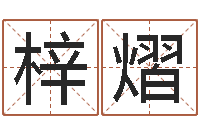 胡梓熠属蛇人的性格-金融公司起名