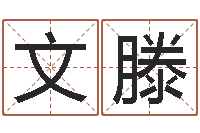 谭文滕南方八字合婚程序-李姓宝宝起名