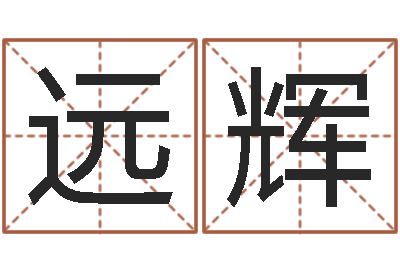 刘远辉航空公司名字-朱姓宝宝取名