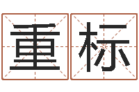 李重标易经卦象查询表-电脑免费测字算命