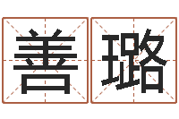 王善璐金口诀张得计-免费取名字软件下载