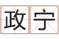 李政宁大海水命与炉中火-宝宝取名馆