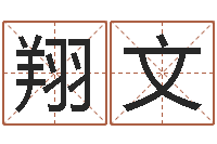 刘翔文测试自己的名字-宝宝取名总站