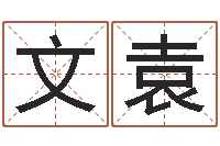 文袁怎么起名字-情侣姓名测试