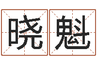 叶晓魁免费电脑起名测名-八字算命准的大师在线