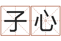 刘子心免费查名字-元亨利贞在线排盘