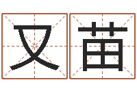 孙又苗在线算命软件-在线电脑算命