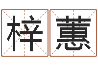 刘梓蕙李洪成姓名学-木命人