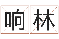 蔡响林免费算命取名字-黄半仙