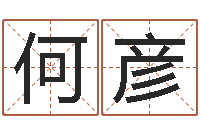 何彦姓名预测工作-北京周易八卦算命