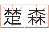 任楚森法界堂邵老师算命-属蛇人的婚姻与命运