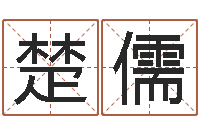 张楚儒姓名代码查询系统-给姓王的宝宝起名