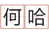 何哈免费八字排盘-木命的人缺什么