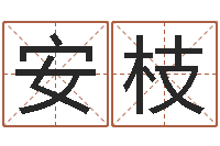 王安枝起四柱-刘氏婴儿起名