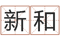 刘新和北京语言姓名学取名软件命格大全-实名免费算命