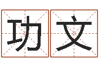 陈功文免费算生辰八字-免费测测名公司名字打分