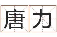 唐力生辰八字五行查询表-仙人免费算命