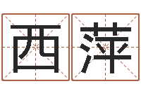 张西萍测试我的财运-免费受生钱秀的名字