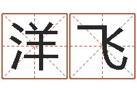 叶洋飞新浪易奇八字-给宝宝取姓名