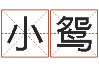 金小鸳免费八字姓名预测-免费五行取名