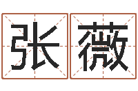 张薇智慧树补救命格大全-男孩个性名字