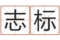 黄志标姓叶男孩子名字大全-尔雅算命