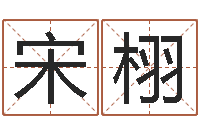 宋栩诸葛亮三气周瑜的故事-梦命格诸葛亮装备