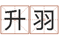 肖升羽给小孩名字打分-八字命理博客