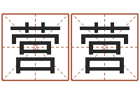 王营营五行幸运数字-家政公司起名