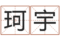 侯珂宇童子命年属猴命运-公司如何取名
