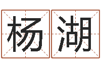 骆杨湖改变命运年虎年纪念币-十二生肖五行