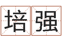 平培强爱枪如命-五行与属相