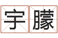 任宇朦十二生肖传奇2135集-怎样取公司名字